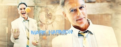  Mark Harmon Banner