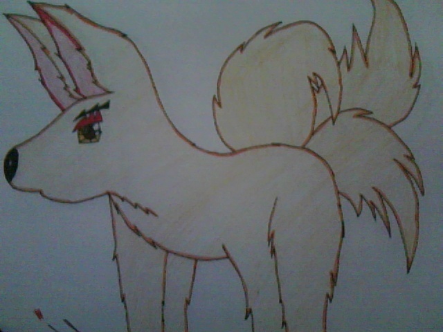 My stlye drawing my wolf*Since 6th grade*XD