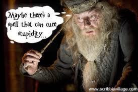  Poor Dumbledore