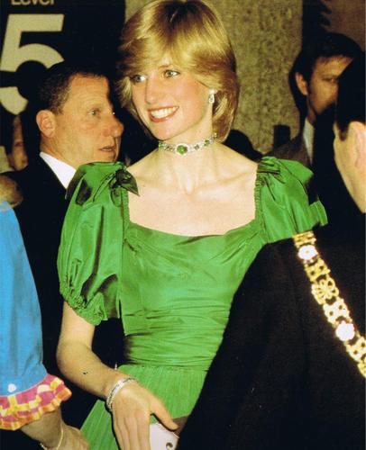 princess diana - Princess Diana Photo (20757106) - Fanpop