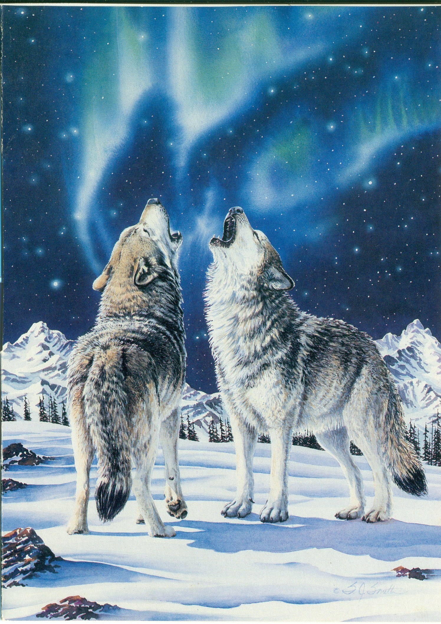 Aurora Borealis Wolves