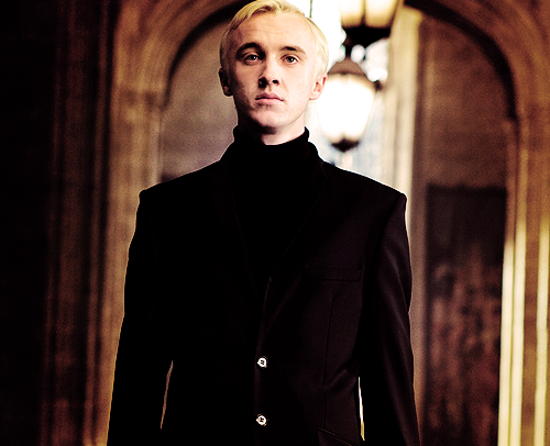  Draco người hâm mộ Art