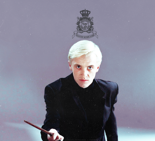  Draco người hâm mộ Art