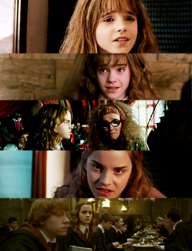  Hermione 粉丝 Art
