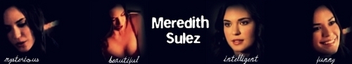  Meredith Sulez Banner