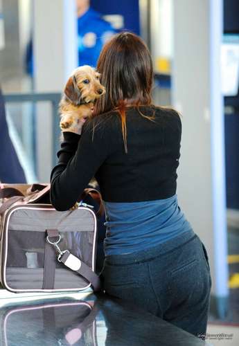  New 照片 of Leighton Meester At LAX Airport - March 25