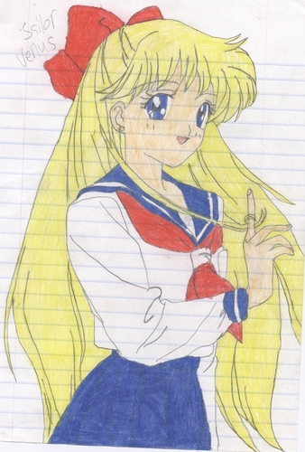  Sailor V XD