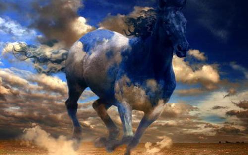  Sky Horse