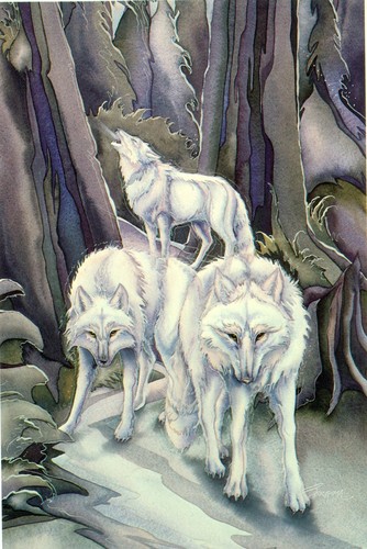  Song Of The wolf