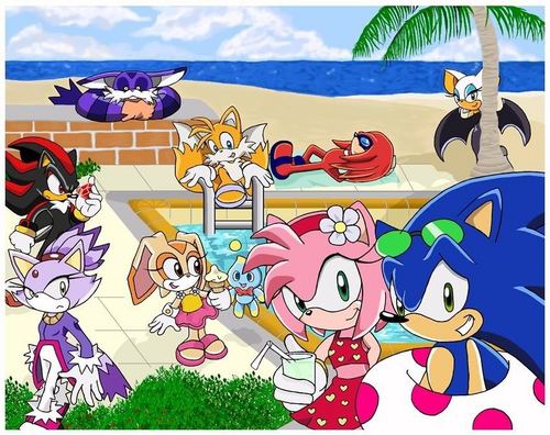  Sonic and friends at the de praia, praia