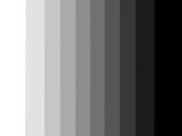  gray scale