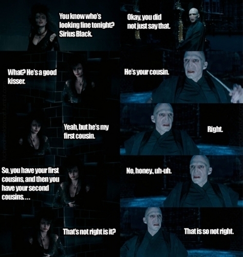  Bellatrix and Voldemort O_O
