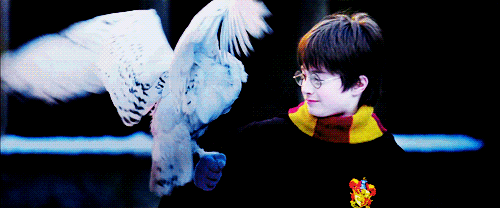  Harry Potter 팬 Art