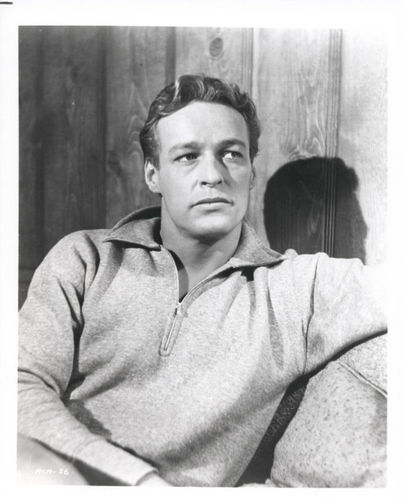  Russell Johnson as The Professor