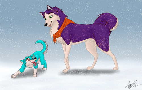 Sonica the husky wolf pup and mina husky ^^