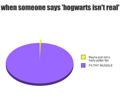  don't ever say hogwarts isn't real :D