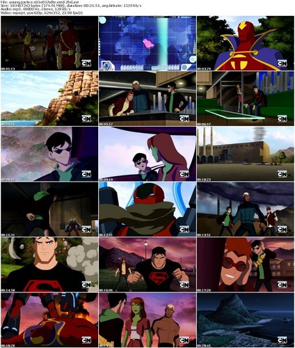  young justice