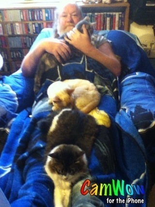 1,2,3 cats on Peter's lap :)