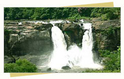  Athirappilly