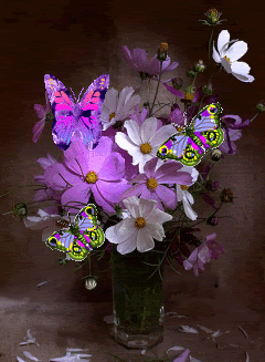  Butterflies For Susie <3