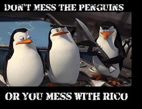  Don't Mess With The Penguins