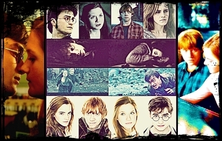  Harry, Ginny, Hermione and Ron.