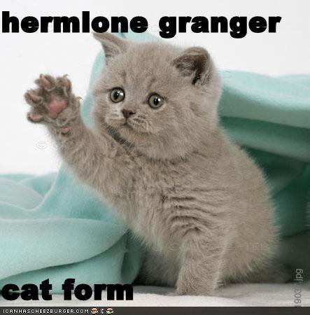  Hermione Granger Cat Form xD