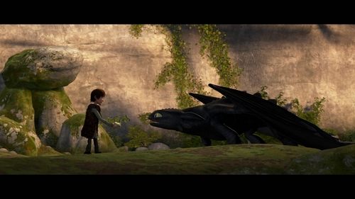  How To Train Your Dragon Pictures