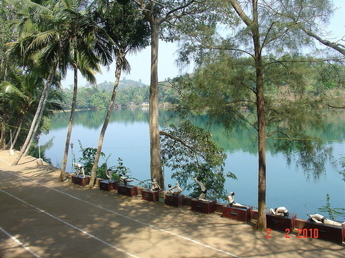  Neyyar Dam