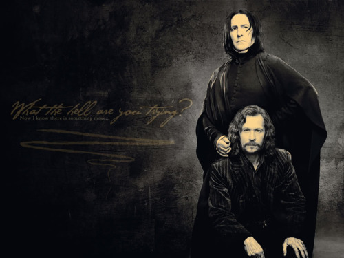  Snape and Sirius