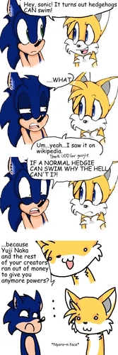  Why Can't Sonic Swim