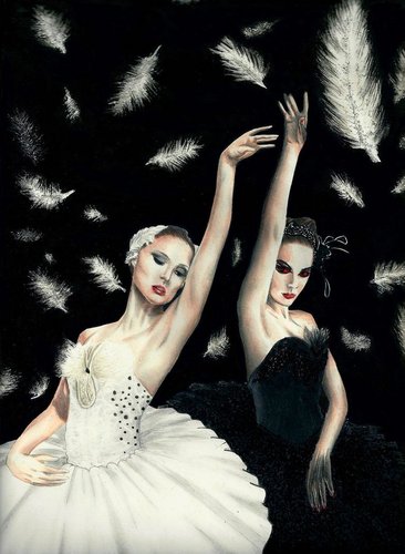  Black angsa, swan Art♥