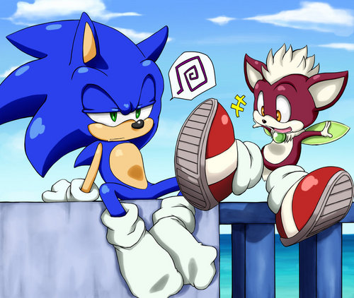  Chip украл, палантин Sonic's Shoes