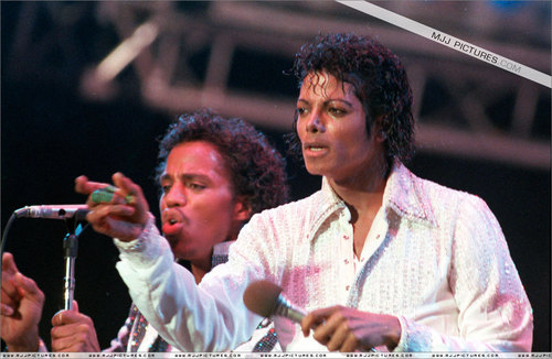  Michael Jackson The KING OF POP!!!
