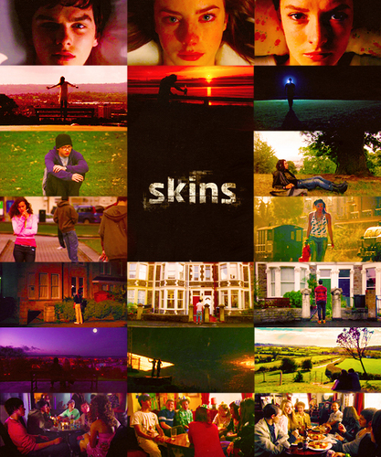  Skins.