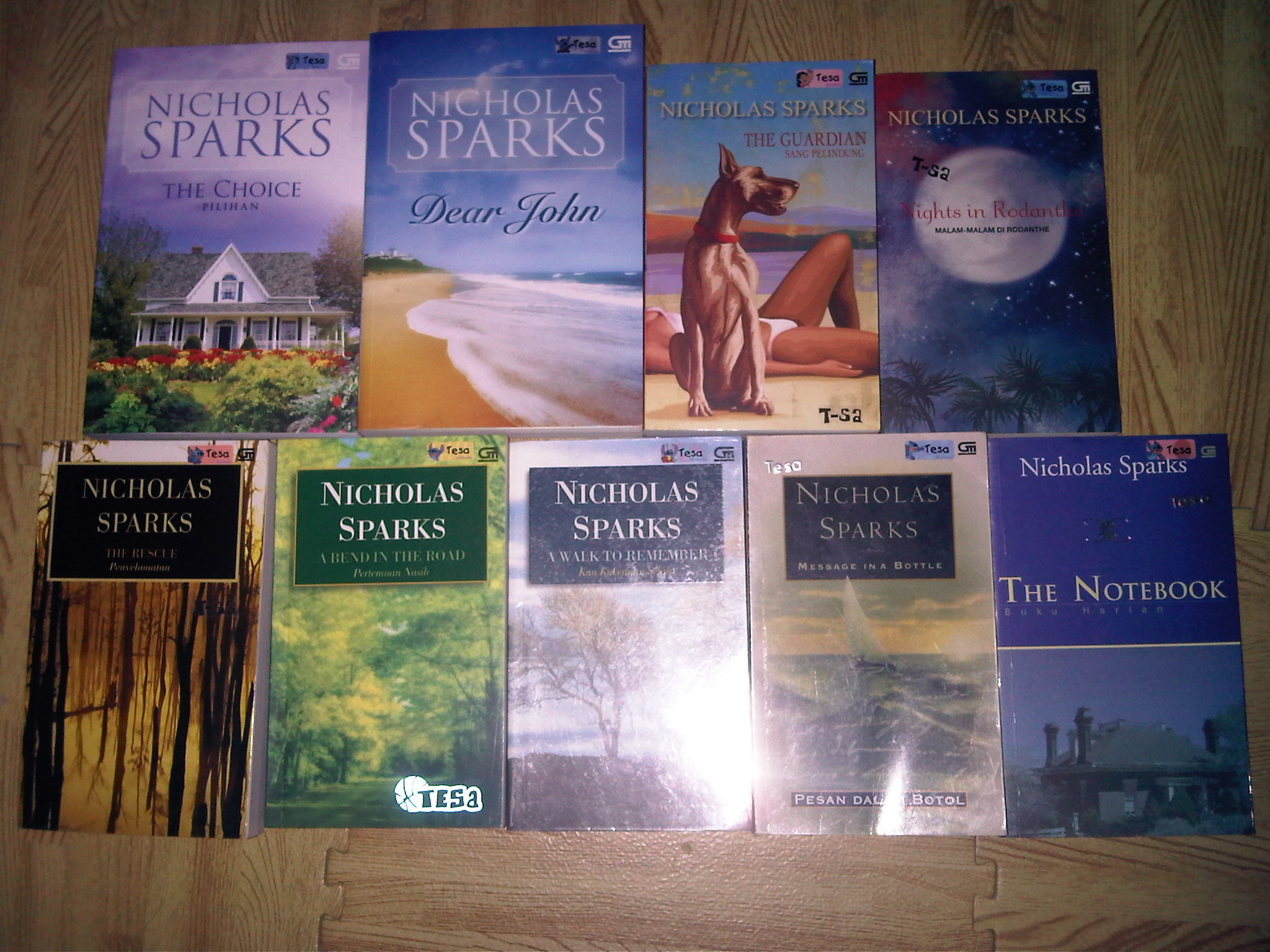 indonesian version of nicholas sparks books