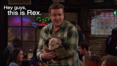  Rex the Trash Possum