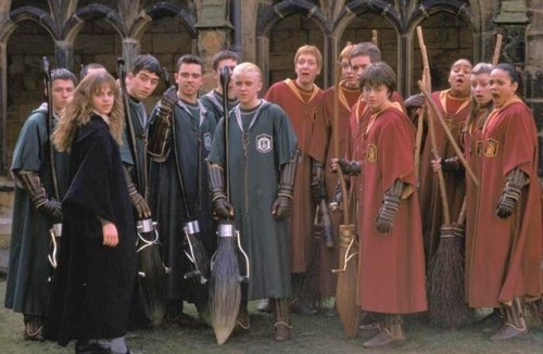  Slytherin and Gryffindor Quidditch Teams (1992)