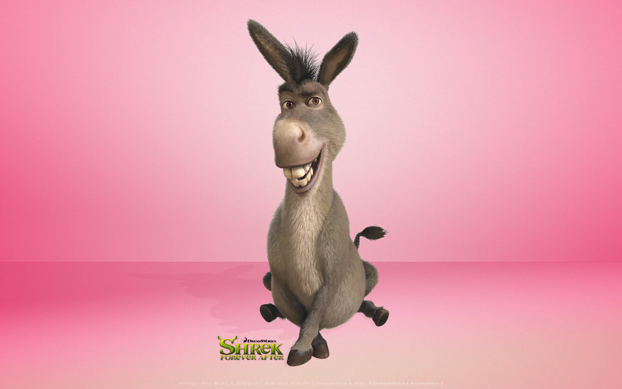 donkey!