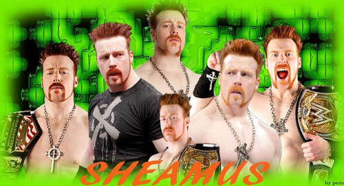  sheamus exclusive ファンポップ