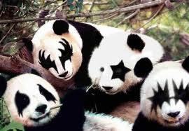  吻乐队（Kiss） Panda's:)