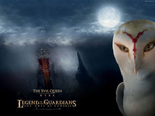  Legend of the Guardians: The Owls of Gahoole 2010