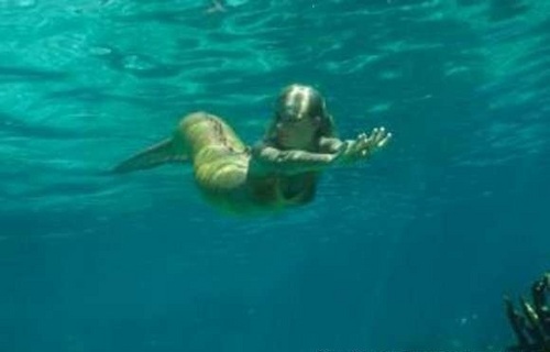  Bella swimming underwater