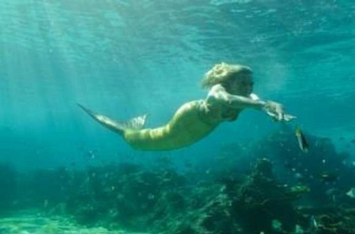  Bella swimming underwater