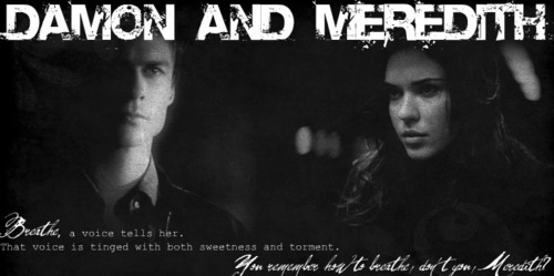  Damon/Meredith