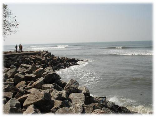  Fort Kochi