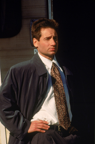  raposa Mulder