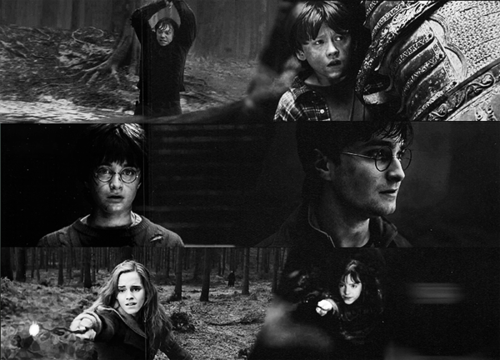  Harry Potter fã Art