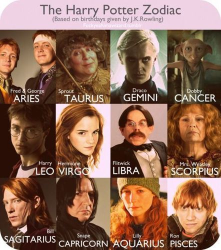  Harry Potter Zodiac