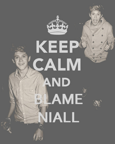  Irish Cutie Niall (Enternal 사랑 4 Niall & Always Will) Keep Calm & Blame Niall 100% Real ♥